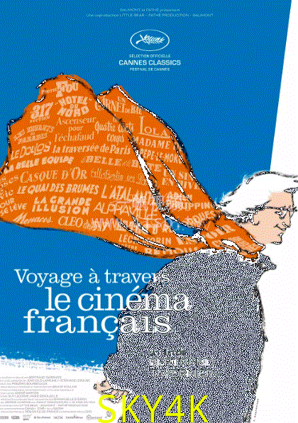 我的法国电影之旅
