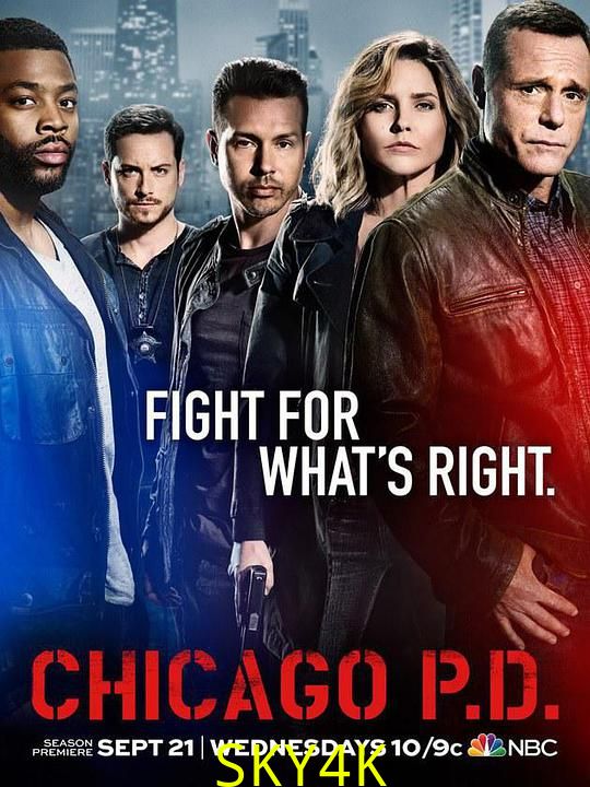 芝加哥警署 第四季