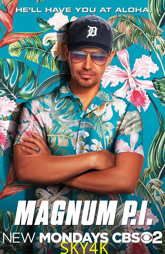 新夏威夷神探 第一季